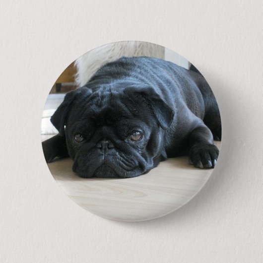 Personalize cute black Pug Puppy accessories name 缶バッジ (正面)