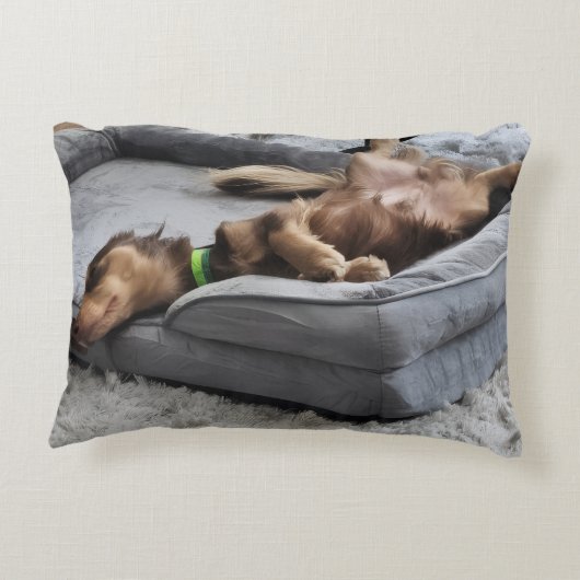 Personalize Dog Lover Pillow-Use Your Pet's Photo アクセントクッション (裏面)
