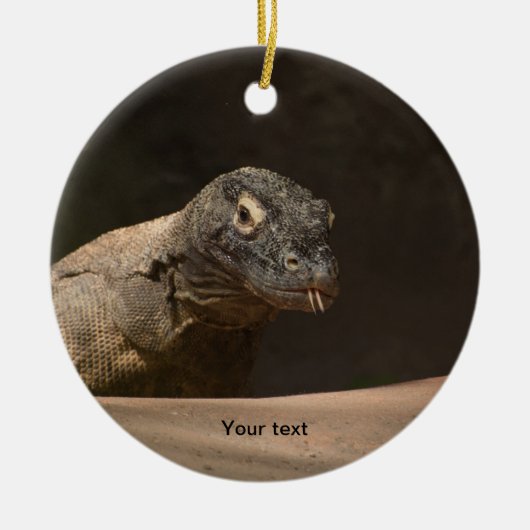 Personalize Komodo Monitor Dragon写真 セラミックオーナメント (正面)