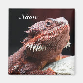 Personalized Adult Red Bearded Dragon Lizard マグネット (正面)