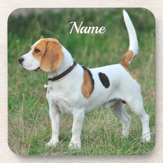 Personalized Beagle Hound Dog コースター (正面)
