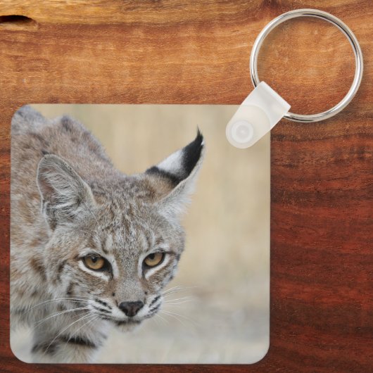 Personalized Bobcat Keychain - Add Your Name キーホルダー (裏面)