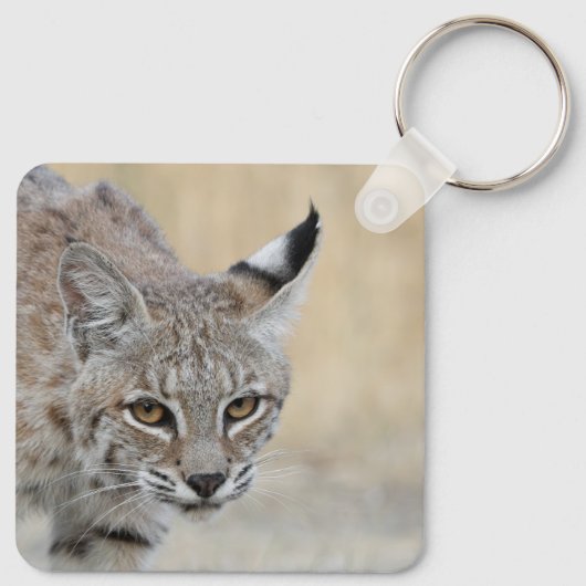 Personalized Bobcat Keychain - Add Your Name キーホルダー (裏面)