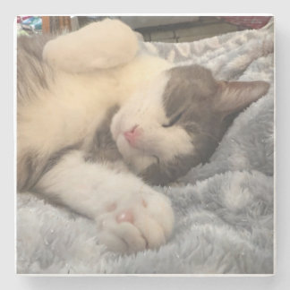 Personalized Cat Photo Pet Lover Gift ストーンコースター