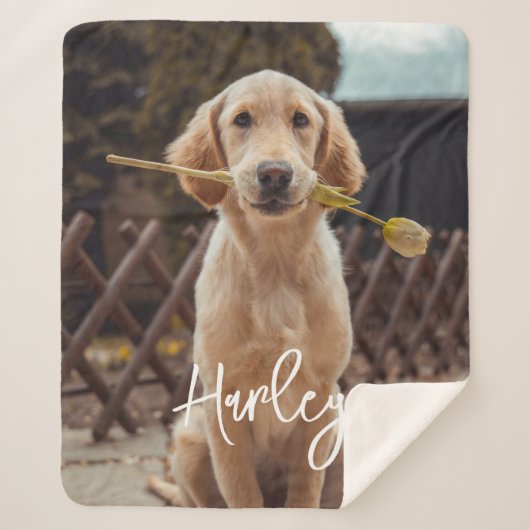 Personalized Custom Photo And Text シェルパブランケット (正面)