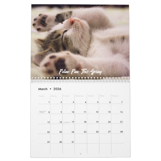 Personalized Custom Photo Cat Lovers Calendar  カレンダー (3月 2026)