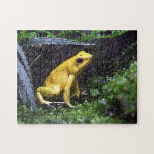 Personalized Custom Photo Jigsaw Puzzle ジグソーパズル (横)