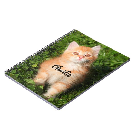Personalized Cute Fluffy Orange Tabby Cat Kitten ノートブック (左側)