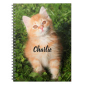 Personalized Cute Fluffy Orange Tabby Cat Kitten ノートブック (正面)