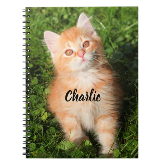 Personalized Cute Fluffy Orange Tabby Cat Kitten ノートブック (正面)