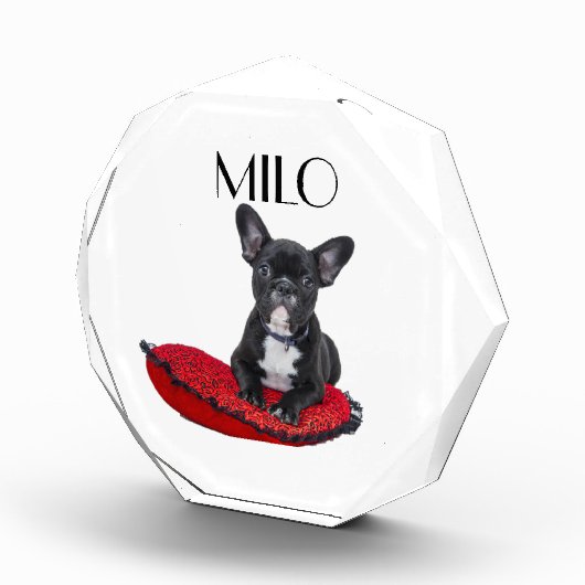 Personalized Dog  フォトブロック (右)