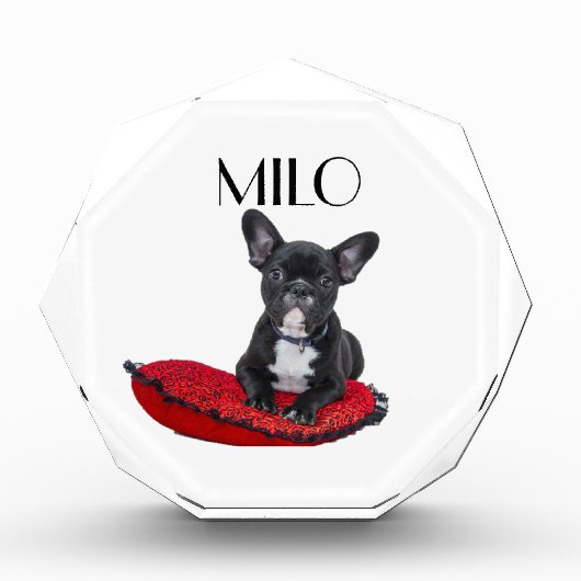Personalized Dog  フォトブロック (正面)