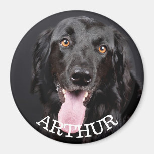 Personalized Dog Photo Refrigerator Magnet マグネット