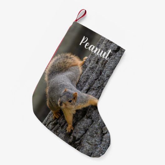 Personalized Fox Squirrel on a Tree スモールクリスマスストッキング (正面 (吊り時))