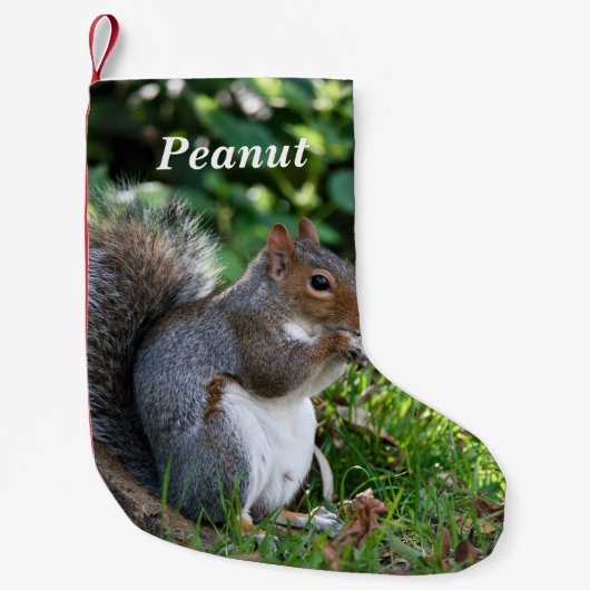 Personalized Grey Squirrel  スモールクリスマスストッキング (正面)