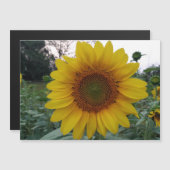 Personalized Image Magnetic Business Display Card (正面/裏面)