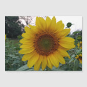 Personalized Image Magnetic Business Display Card (正面)