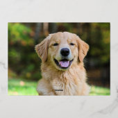 Personalized Merry Christmas Family Photo 箔シーズンカード (裏面)