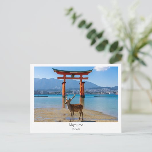 Personalized, Miyajima, Japan ポストカード (スタンド正面)