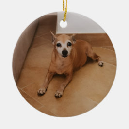 Personalized Name And Photo Pet Memorial セラミックオーナメント