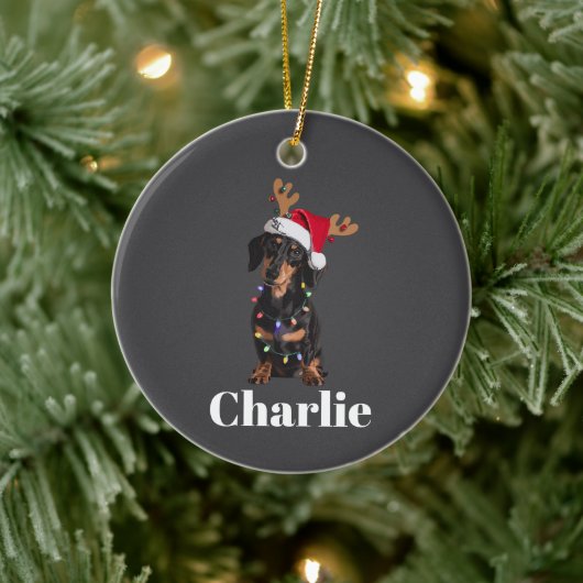 Personalized Name Christmas Dachshund Dog Lights セラミックオーナメント (ツリー)