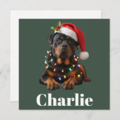 Personalized Name Custom Rottweiler Dog Christmas  シーズンカード (正面/裏面)