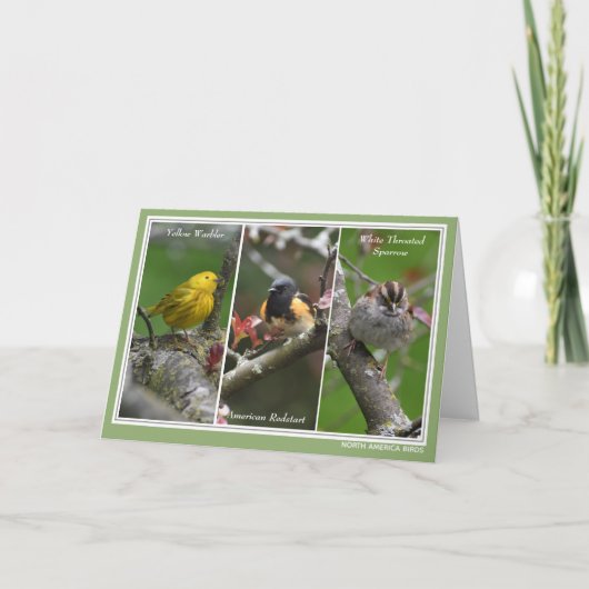 Personalized North America Birds Birthday Card シーズンカード (正面)