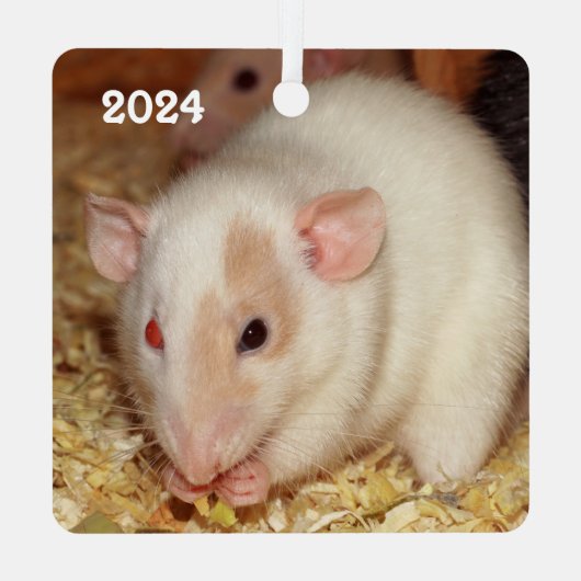 Personalized Odd Eye Beige Dumbo Fancy Pet Rat メタルオーナメント (裏面)