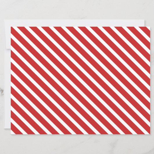 Personalized Official Santa Nice List Certificate (裏面)