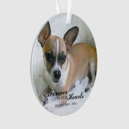 Personalized Pet Christmas Ornament オーナメント (正面)