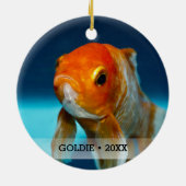 Personalized Pet Fish Photo Name Christmas Tree セラミックオーナメント (裏面)