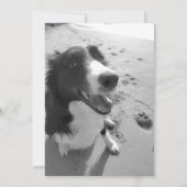 Personalized Pet Memorial Card – In Loving Memory  招待状 (裏面)