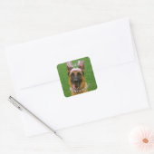Personalized Pet Memorial Photo Sticker スクエアシール (封筒)
