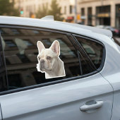 Personalized Pet Photo Car Window Sticker シール