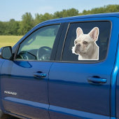 Personalized Pet Photo Car Window Sticker シール