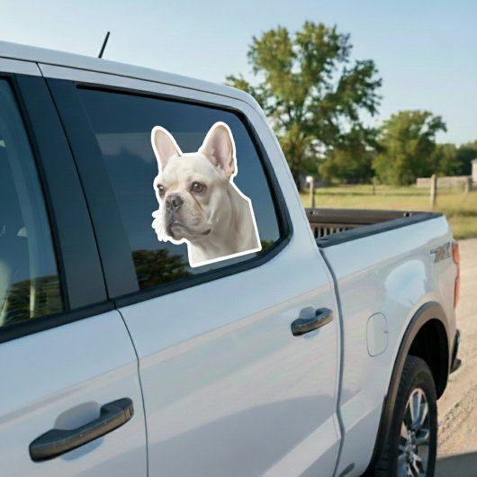 Personalized Pet Photo Car Window Sticker シール