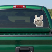 Personalized Pet Photo Car Window Sticker シール