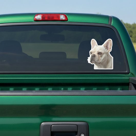 Personalized Pet Photo Car Window Sticker シール