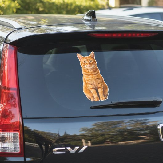 Personalized Pet Photo Car Window Sticker シール