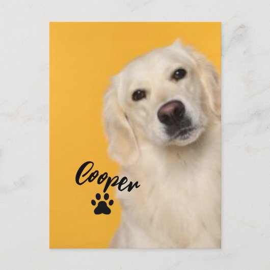 Personalized Pet  Photo Dog Lover with Photo ポストカード (正面)
