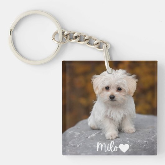 Personalized Pet Photo Keychain with Name キーホルダー (正面)