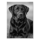 Personalized pet photo poster, pet memorial gift フォトプリント            (正面)