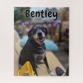 Personalized Pet Photos Template ジグソーパズル (縦)