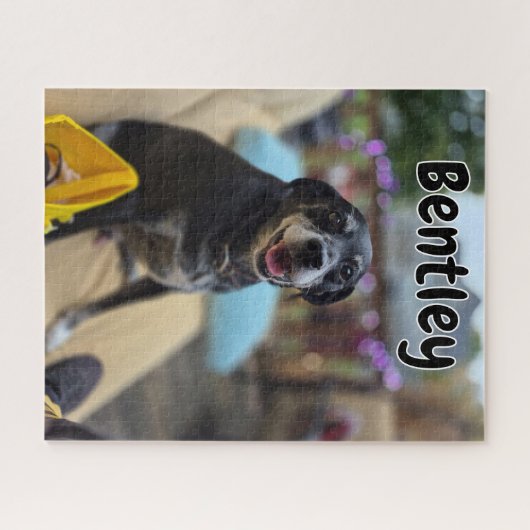 Personalized Pet Photos Template ジグソーパズル (横)