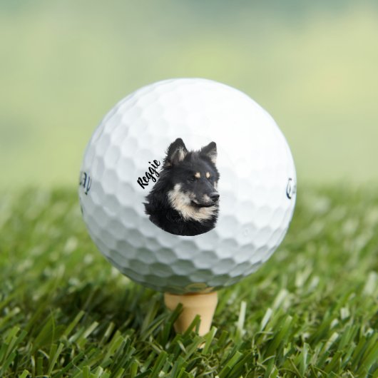 Personalized Pet Portrait Golf Ball | Custom Photo ゴルフボール (インサイチュ 木)