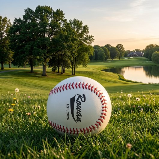 Personalized Player's Name And Number 野球ボール