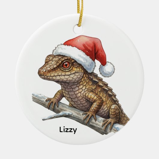 Personalized Red-eyed crocodile skink  セラミックオーナメント (正面)