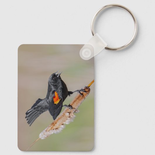 Personalized Red-Winged Blackbird Keychain キーホルダー (裏面)