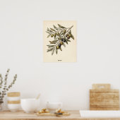 Personalized Rustic Vintage Olive Branch Kitchen ポスター (キッチン)