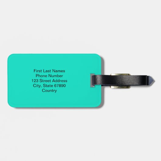 Personalized Shadow Monogram Pink Aqua Green ラゲッジタグ (裏面横)